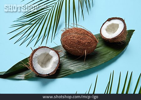 
                Fruchtfleisch, Kokosnuss, Kokos                   