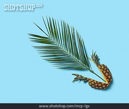 
                Tropisch, Palmblatt, Ananas                   