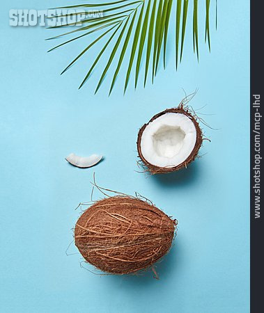 
                Kokosnuss, Kokos, Kokosmark                   
