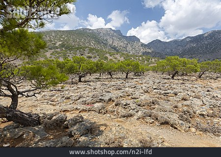 
                Berglandschaft, Kreta                   