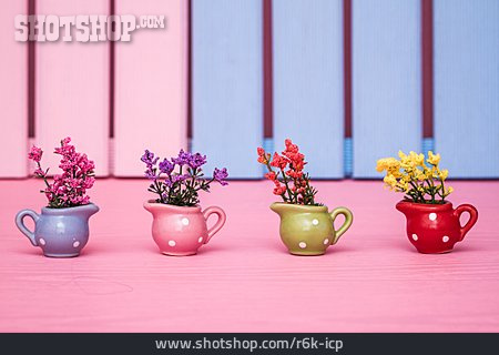 
                Blumen, Teekanne                   