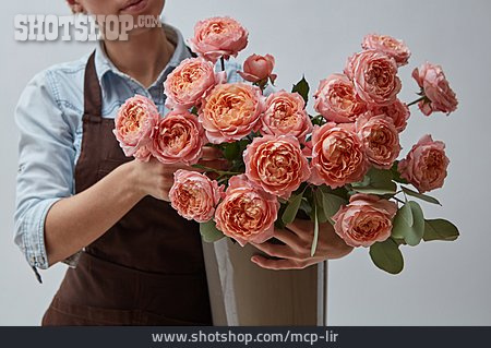 
                Rosa, Blumenstrauß, üppig                   