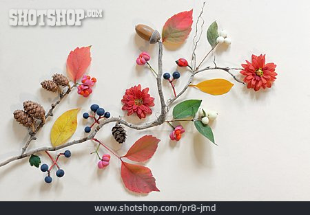 
                Autumn Decoration                   
