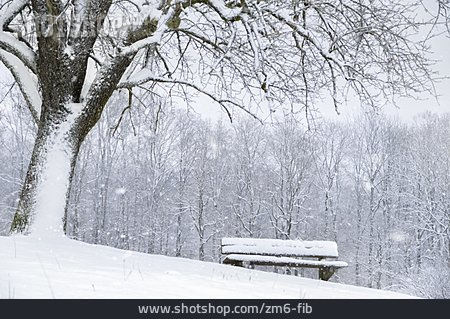 
                Winter, Verschneit, Sitzbank                   