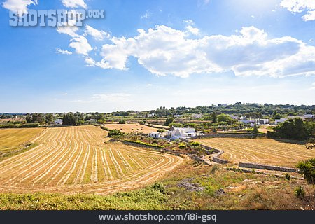 
                Landwirtschaft, Ackerland, Apulien                   