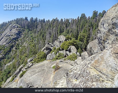 
                Yosemite-nationalpark                   