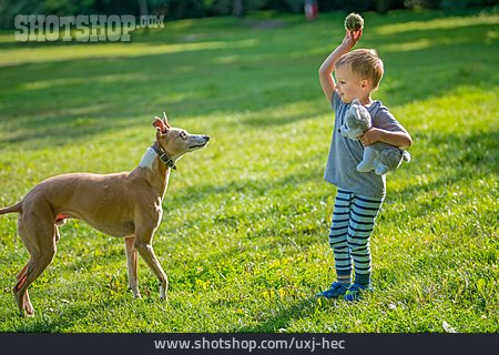 
                Junge, Hund, Ballspiel                   