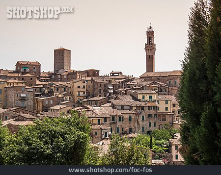 
                Altstadt, Siena                   