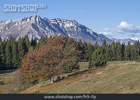 
                Vizentiner Alpen, Becco Di Filadonna                   
