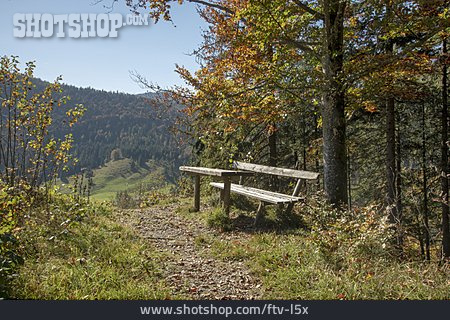 
                Herbstwald, Oberbayern                   