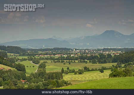
                Oberteisendorf, Surtal                   