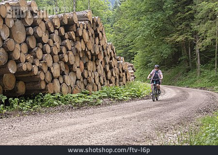 
                Mountainbike, Radfahren, Forstweg                   