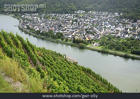 
                Mosel, Koblenz-lay                   