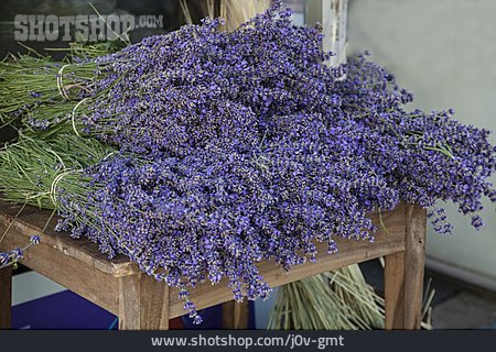
                Lavendel, Provence                   