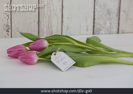 
                Tulpenstrauß, Tulpen, Best Wishes                   
