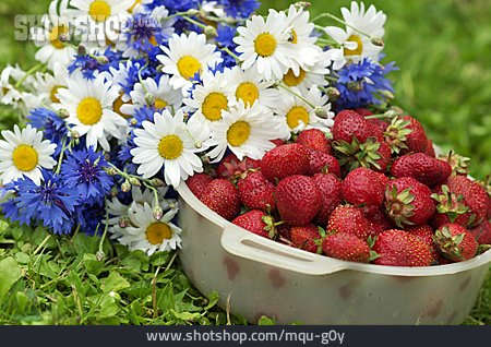 
                Blumenstrauß, Erdbeerernte                   
