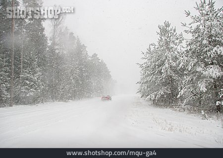 
                Winter, Verschneit, Straße, Autofahren                   