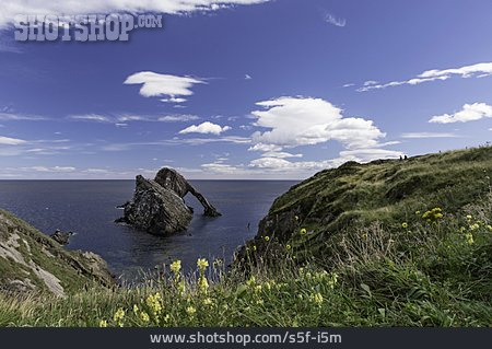 
                Nordsee, Schottland, Bow Fiddle Rock                   
