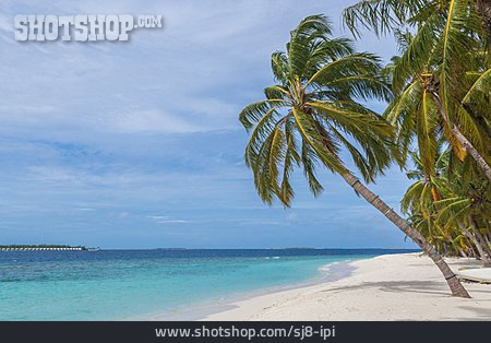 
                Malediven, Meedhoo, Addu Atoll                   