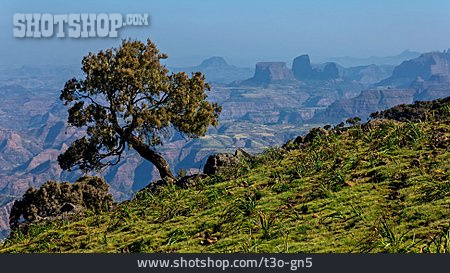 
                äthiopien, Semien Mountains, Simien-nationalpark                   