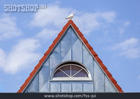 
                Roof, Seagull, Gable                   