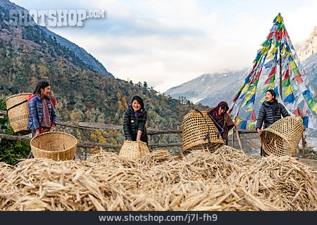 
                Getreideernte, Bhutan                   