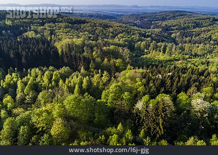 
                Schwäbischer Wald                   