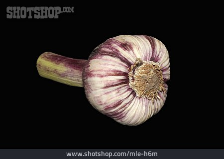 
                Knoblauch                   