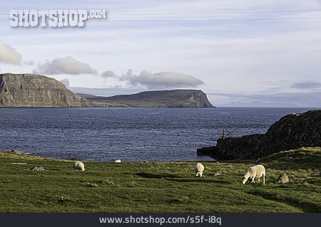 
                Küste, Isle Of Skye                   