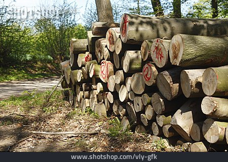 
                Holzwirtschaft, Baumstämme                   