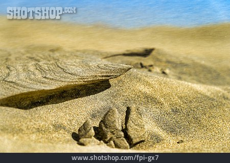 
                Sand, Sandformation                   