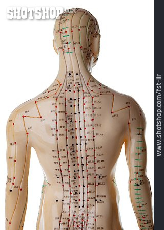 
                Akupunktur, Meridian, Akupunkturpunkte                   