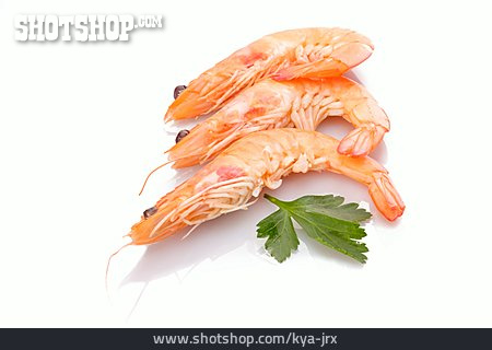 
                Garnele, Shrimps                   