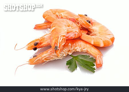 
                Garnele, Shrimps                   