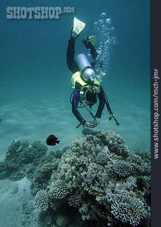 
                Korallenriff, Taucher, Fotografieren                   