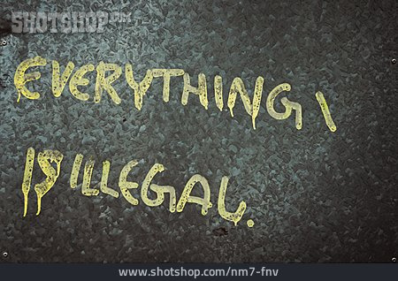 
                Graffiti, Everything Is Illegal                   