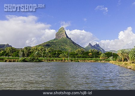 
                Mauritius                   