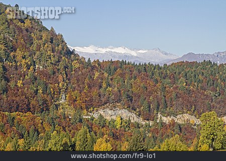 
                Herbstwald, Trentino                   