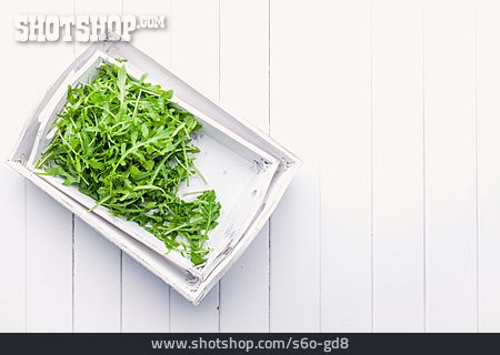 
                Salad, Leaf Lettuce                   