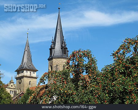 
                Stiftskirche, öhringen                   