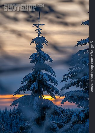 
                Sonnenuntergang, Schwarzwald, Winterlich                   