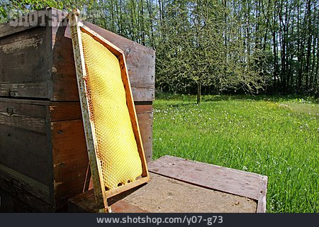 
                Bienenstock, Bienenwabe, Bienenkasten                   