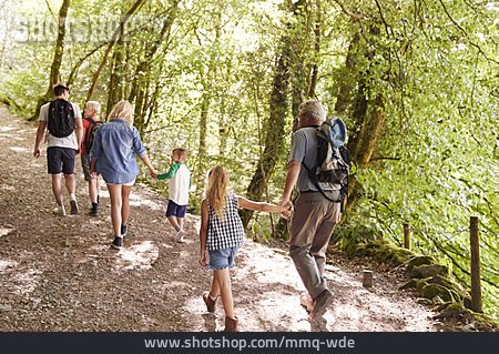 
                Spaziergang, Gemeinsam, Waldspaziergang                   