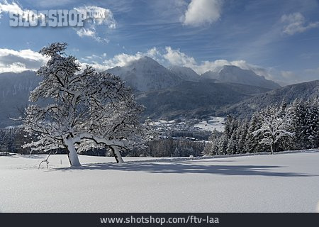 
                Winterlandschaft, Berchtesgadener Land                   