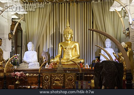 
                Sri Dalada Maligawa, New Shrine Room & Museum                   