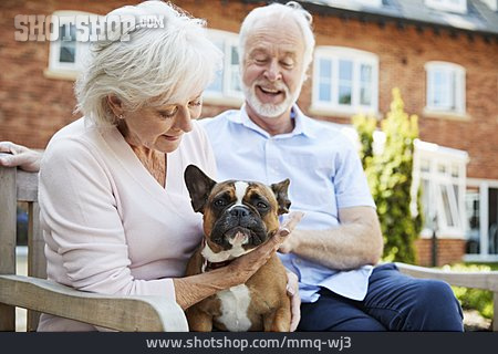 
                Haustier, Tierlieb, Französische Bulldogge, Seniorenpaar                   