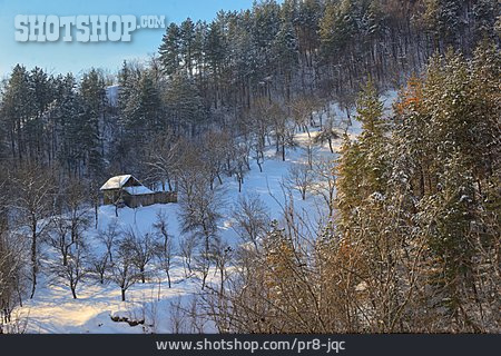 
                Winter, Nadelwald, Holzhütte                   