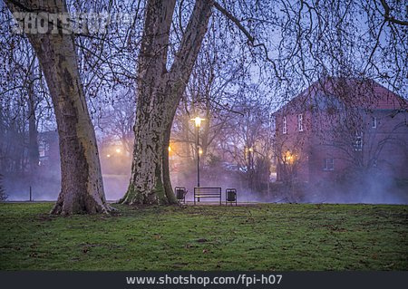 
                Nebel, Stadtpark, Grevenbroich                   