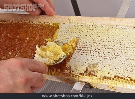 
                Honigwabe, Entdeckelungsmesser, Honigernte                   