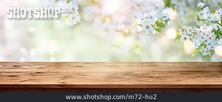
                Frühjahr, Holztisch, Kirschblüten                   